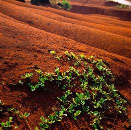 《因狄斯2：燃烧的火种》Steam页面上线 发售日期待定